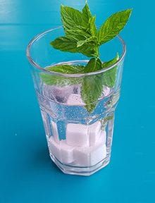 Wiederverwendbare Eiswürfel zur Kühlung in einem Gin Tonic mit Minze