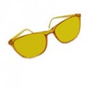 Geek Stuff Farbbrille